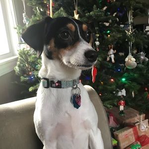 Meet your Posher, Suzanne